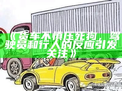 《货车不慎压死狗，驾驶员和行人的反应引发关注》