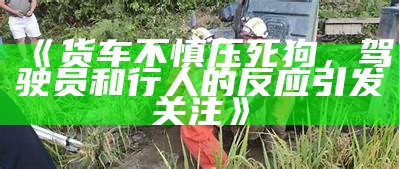 《货车不慎压死狗，驾驶员和行人的反应引发关注》