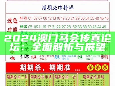 2024澳门马会传真论坛：全面解析与展望