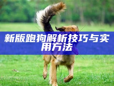 新版跑狗解析技巧与实用方法