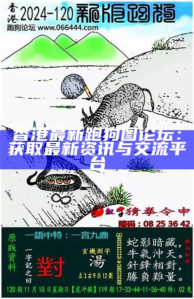 新一代的跑狗论坛：探索未来的数字交流平台