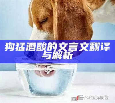 狗猛酒酸的文言文翻译与解析