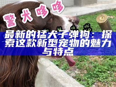 最新的猛犬子弹狗：探索这款新型宠物的魅力与特点