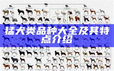 猛犬类品种大全及其特点介绍