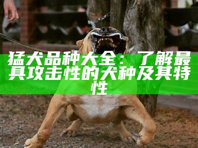 猛犬品种大全：了解最具攻击性的犬种及其特性