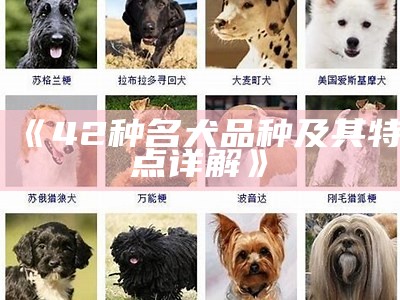 《42种名犬品种及其特点详解》