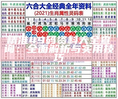 精准49码资料大全查询：全面解析与实用技巧