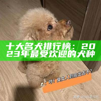 十大名犬排行榜：2023年最受欢迎的犬种