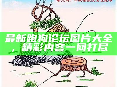 如何选择适合自己的跑狗论坛图片头像