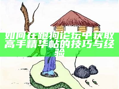 如何在跑狗论坛中获取高手精华帖的技巧与经验