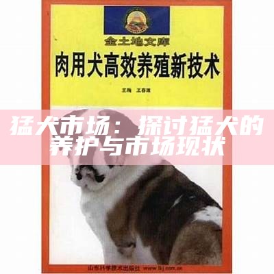 猛犬市场：探讨猛犬的养护与市场现状