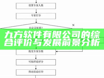 九方软件有限公司的综合评价与发展前景分析