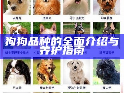 狗狗品种的全面介绍与养护指南