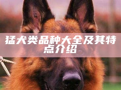 猛犬类品种大全及其特点介绍