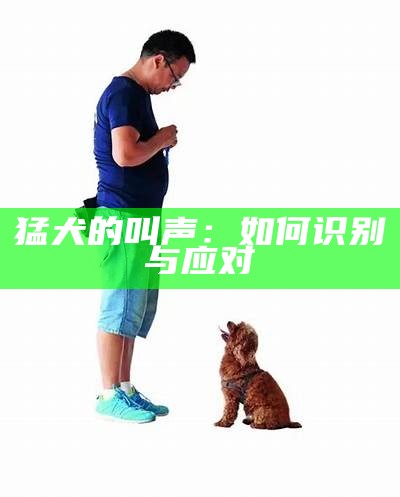 猛犬的叫声：如何识别与应对