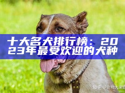 十大名犬排行榜：2023年最受欢迎的犬种