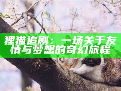 狸猫追剧：一场关于友情与梦想的奇幻旅程