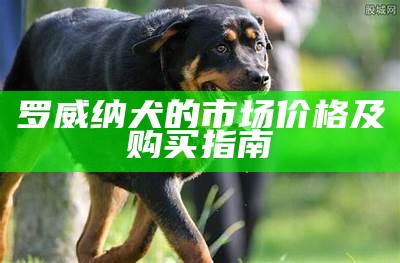 罗威纳犬的市场价格及购买指南