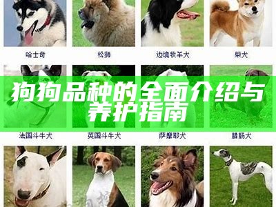 狗狗品种的全面介绍与养护指南