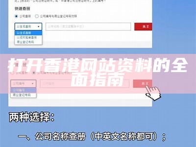 打开香港网站资料的全面指南