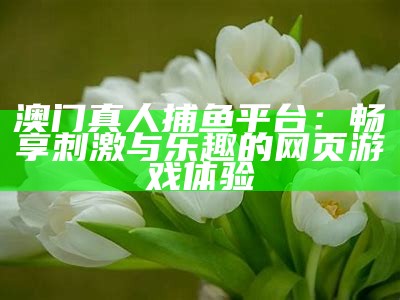 澳门真人捕鱼平台：畅享刺激与乐趣的网页游戏体验