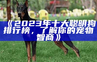 《2023年十大聪明狗排行榜，了解你的宠物智商》