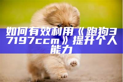 如何有效利用《跑狗37197ccm》提升个人能力