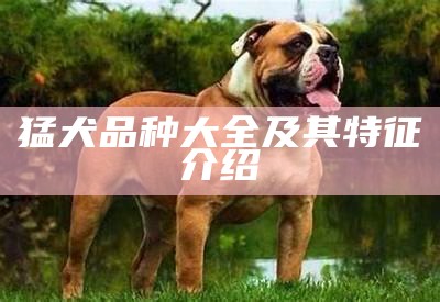 猛犬品种大全及其特征介绍