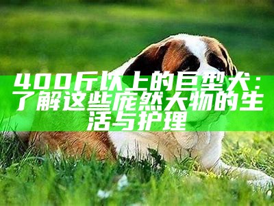 400斤以上的巨型犬：了解这些庞然大物的生活与护理