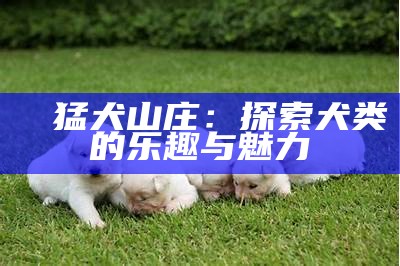 犇犇猛犬山庄：探索犬类的乐趣与魅力