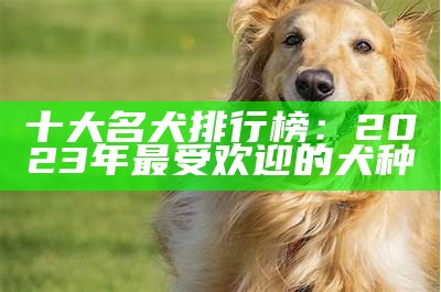 十大名犬排行榜：2023年最受欢迎的犬种