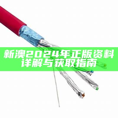 新澳2024年正版资料详解与获取指南