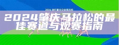 2024肇庆马拉松的最佳赛道与观赛指南