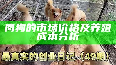 肉狗的市场价格及养殖成本分析