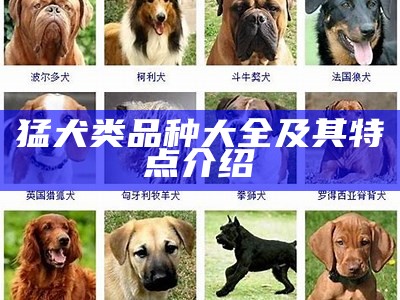 猛犬类品种大全及其特点介绍