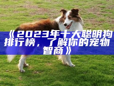 《2023年十大聪明狗排行榜，了解你的宠物智商》