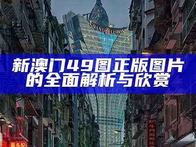 新澳门49图正版图片的全面解析与欣赏