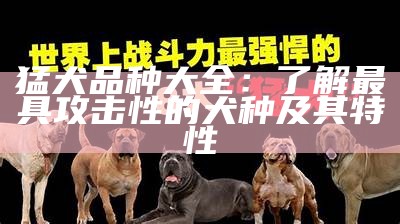 猛犬品种大全：了解最具攻击性的犬种及其特性