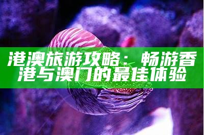 港澳旅游攻略：畅游香港与澳门的最佳体验