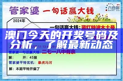 澳门202彩票开奖结果及分析，助您了解最新动态