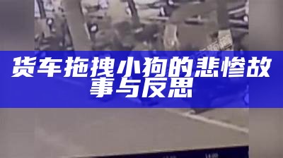 货车拖拽小狗的悲惨故事与反思