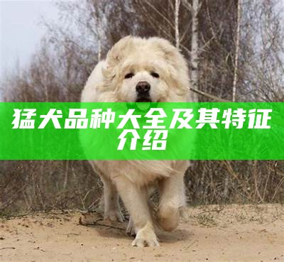 猛犬品种大全及其特征介绍