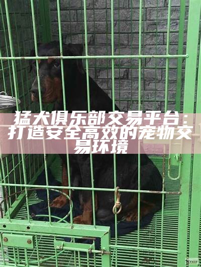 猛犬俱乐部交易平台：打造安全高效的宠物交易环境