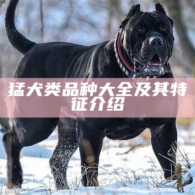 猛犬类品种大全及其特征介绍