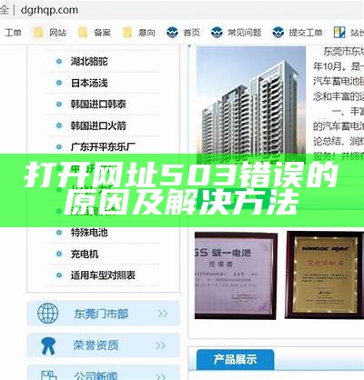 打开网址503错误的原因及解决方法