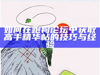 如何在跑狗论坛中获取高手精华帖的技巧与经验