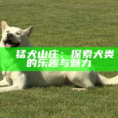 犇犇猛犬山庄：探索犬类的乐趣与魅力