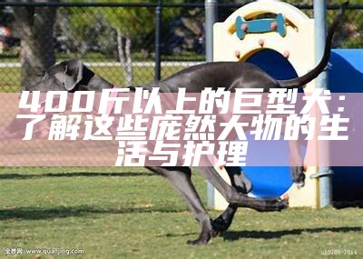 400斤以上的巨型犬：了解这些庞然大物的生活与护理