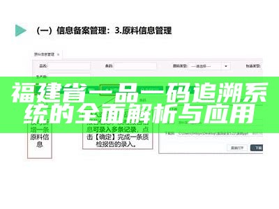 福建省一品一码追溯系统的全面解析与应用