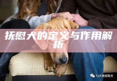 抚慰犬的定义与作用解析